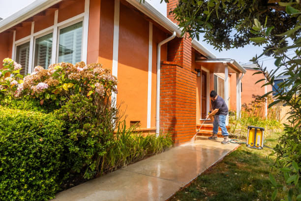 Best Roof Pressure Washing  in Candor, NC